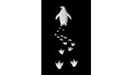 Erkek Nihilist Penguen Baskılı 3 İplik Pamuklu Kapüşonlu Sweatshirt Hoodie Siyah Erkek Nihilist Penguen Baskılı 3 İplik Pamuklu Kapüşonlu Sweatshirt Hoodie Siyah