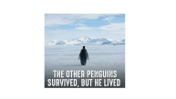 Erkek Survivor Penguin Baskılı 3 İplik Pamuklu Kapüşonlu Sweatshirt Hoodie Beyaz Erkek Survivor Penguin Baskılı 3 İplik Pamuklu Kapüşonlu Sweatshirt Hoodie Beyaz