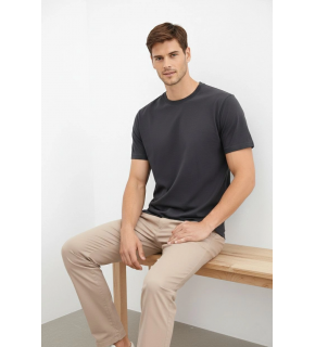 Erkek Bisiklet Yaka Yazlık Kısa kol Düz Tişört Regular Kalıp T-shirt - Füme