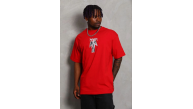 Erkek Baskılı T-Shirt Kısa Kol Bisiklet Yaka Regular Fit Tişört - Kırmızı