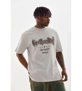 Erkek Baskılı T-Shirt Kısa Kol Bisiklet Yaka Regular Fit Tişört - Gri