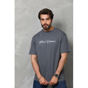 Erkek Baskılı T-Shirt Kısa Kol Bisiklet Yaka Regular Fit Tişört - Füme