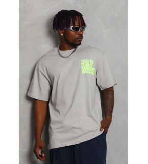 Erkek Baskılı T-Shirt Kısa Kol Bisiklet Yaka Regular Fit Tişört - Gri