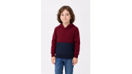 Erkek Çocuk Kapüşonlu Kanguru Cepli Parçalı SweatShirt - Renkli Erkek Çocuk Kapüşonlu Kanguru Cepli Parçalı SweatShirt - Renkli