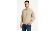 Erkek 3 İplik Pamuklu Düz Bisiklet Yaka SweatShirt - Bej