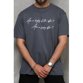 Erkek Kısa Kol Yazlık Tişört Bisiklet Yaka Baskılı Oversize T-Shirt - Füme